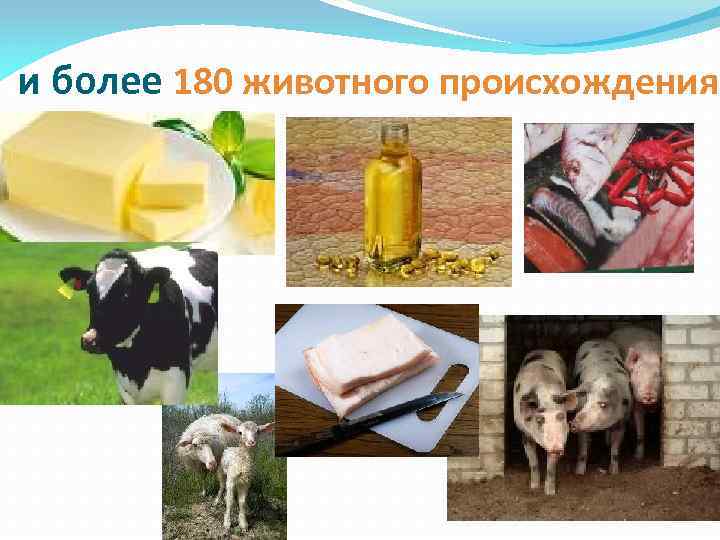 и более 180 животного происхождения. 