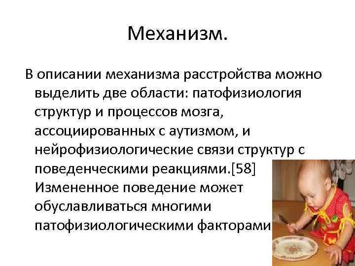Механизм. В описании механизма расстройства можно выделить две области: патофизиология структур и процессов мозга,