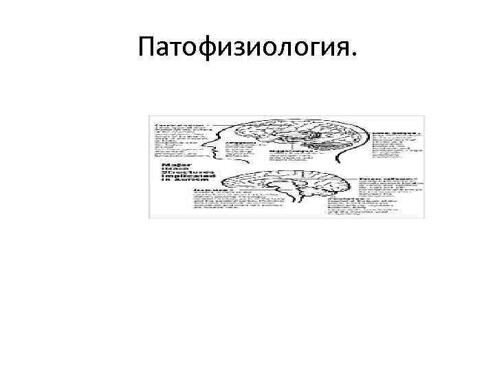 Патофизиология. 