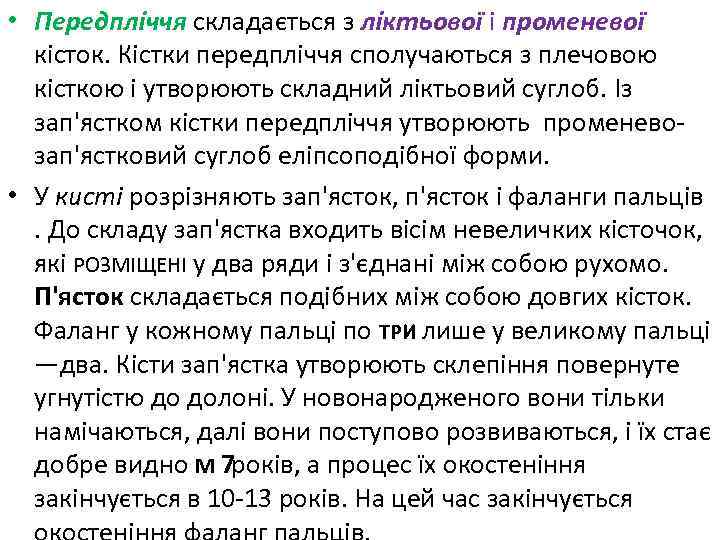  • Передпліччя складається з ліктьової і променевої кісток. Кістки передпліччя сполучаються з плечовою