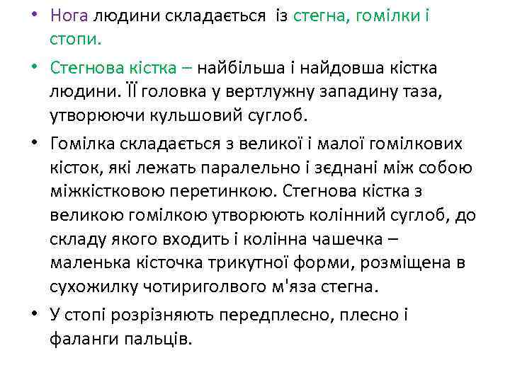  • Нога людини складається із стегна, гомілки і стопи. • Стегнова кістка –