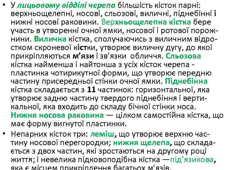 • У лицьовому відділі черепа більшість кісток парні: верхньощелепні, носові, сльозові, виличні, піднебінні