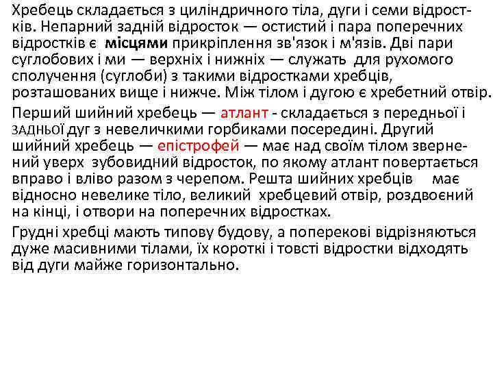 Хребець складається з циліндричного тіла, дуги і семи відростків. Непарний задній відросток — остистий