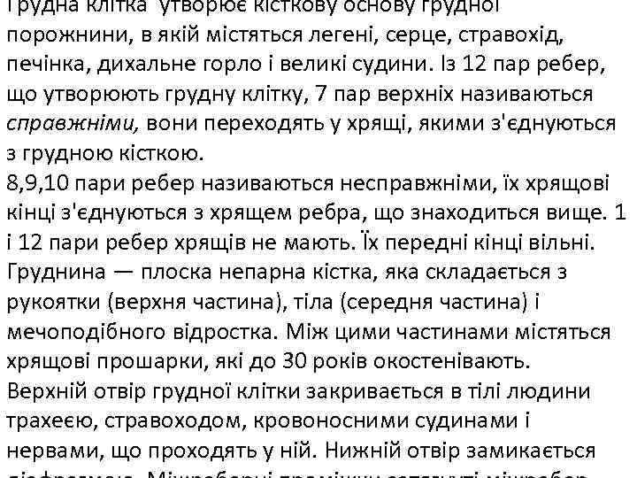 Грудна клітка утворює кісткову основу грудної порожнини, в якій містяться легені, серце, стравохід, печінка,