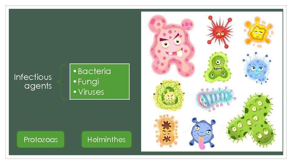 Infectious agents Protozoas • Bacteria • Fungi • Viruses Helminthes 