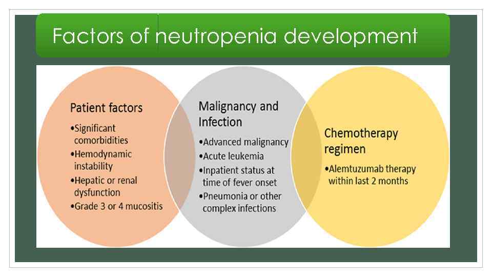 Factors of neutropenia development 