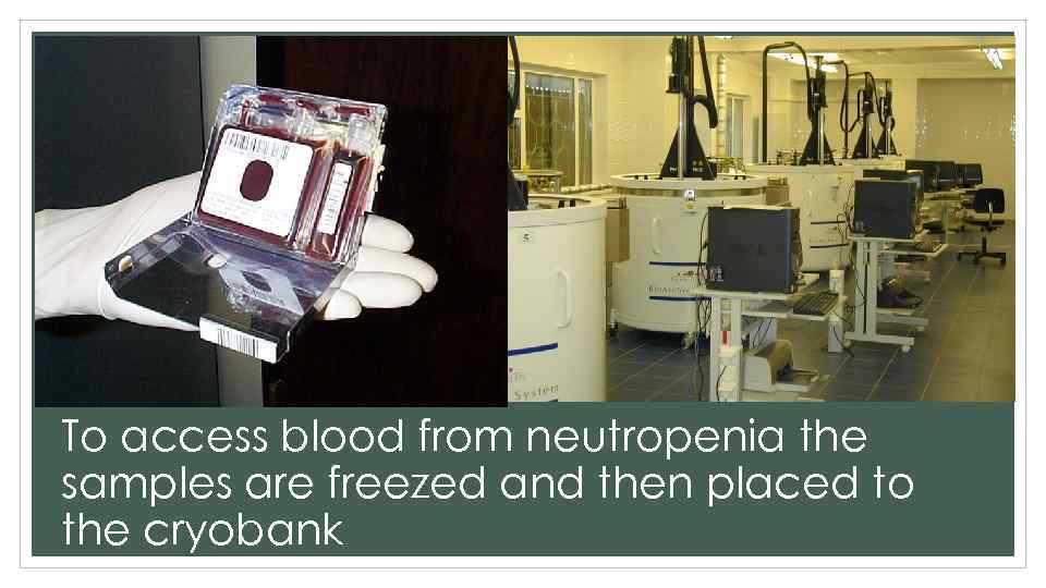 To access blood from neutropenia the samples are freezed and then placed to the