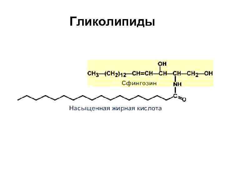 Гликолипиды 