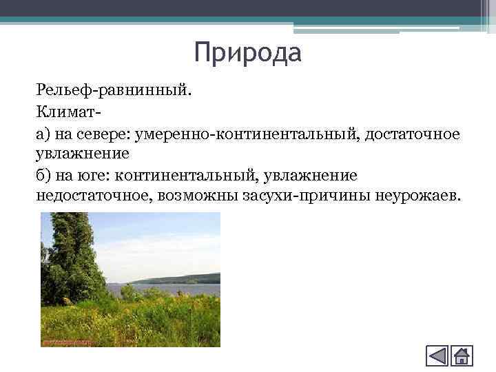 В умеренно континентальном климате при достаточном увлажнении. Рельеф умеренно континентального климата. Умеренный континентальный климат. Характеристика умеренного континентального климата. Умеренно-континентальный климат характеристика.