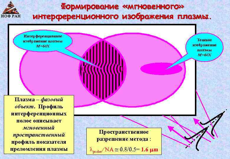 ИОФ РАН Формирование «мгновенного» интерференционного изображения плазмы. Интерференционное изображение плазмы M=60 X Плазма –