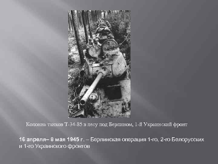 . Колонна танков Т-34 -85 в лесу под Берлином, 1 -й Украинский фронт 16