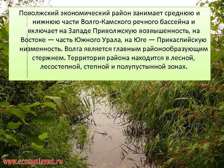 Поволжский экономический район занимает среднюю и нижнюю части Волго-Камского речного бассейна и включает на