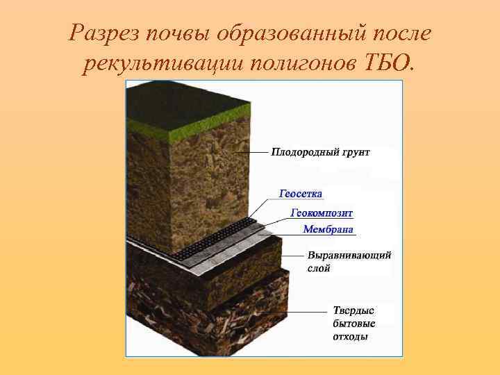 Разрез почвы образованный после рекультивации полигонов ТБО. 