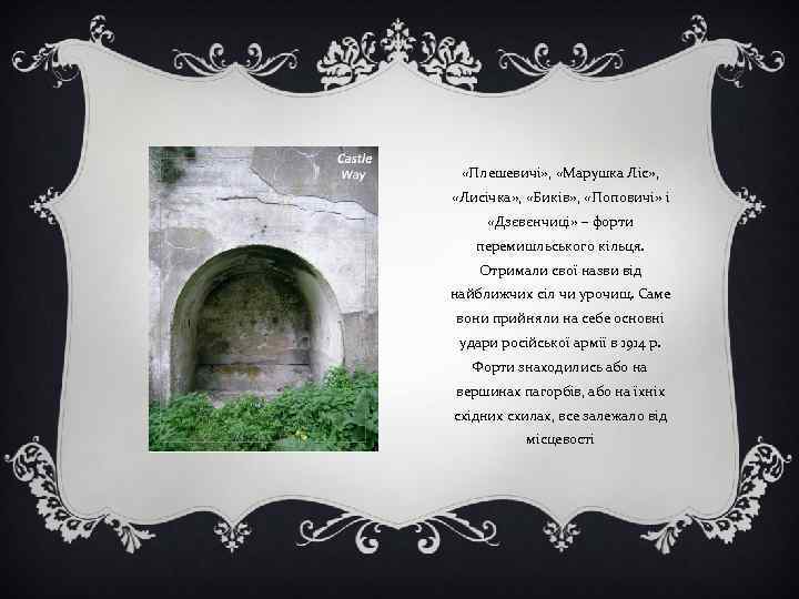  «Плешевичі» , «Марушка Ліс» , «Лисічка» , «Биків» , «Поповичі» і «Дзєвєнчиці» –