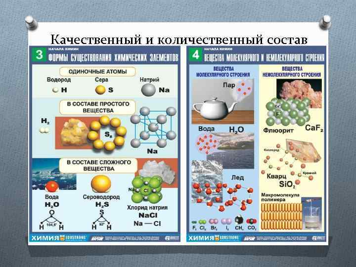 Качественный и количественный состав 