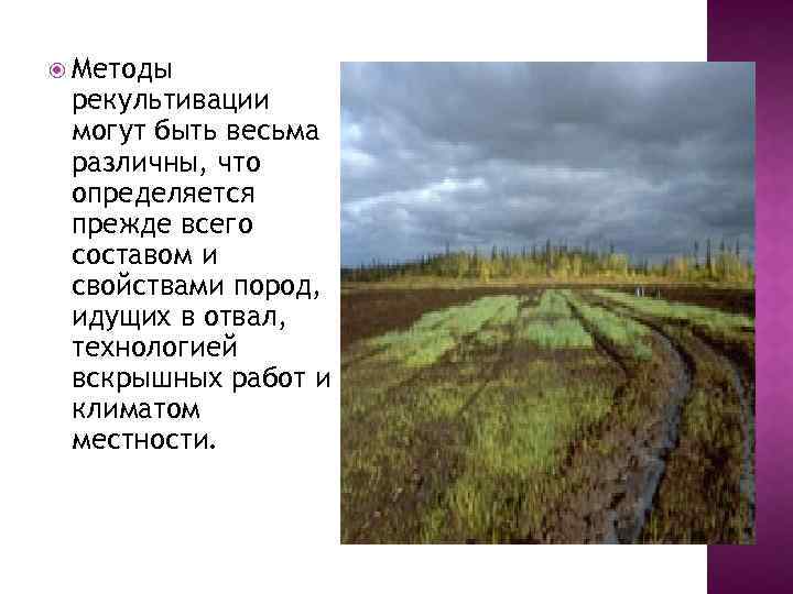 Подлежат рекультивации земли. Способы рекультивации. Биологический этап рекультивации земель. Рекультивация сельскохозяйственных земель.