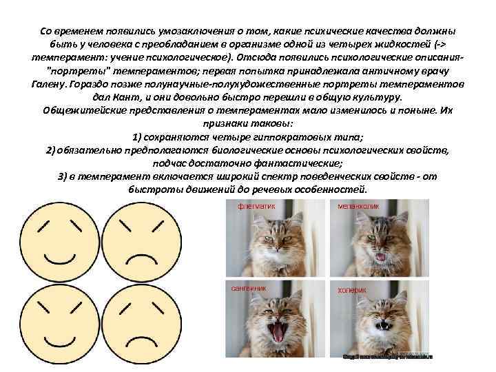 Со временем появились умозаключения о том, какие психические качества должны быть у человека с