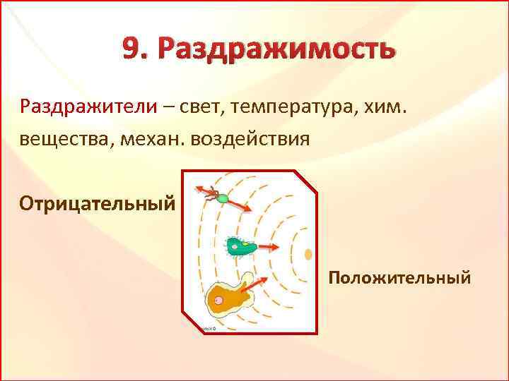 Раздражимость в биологии рисунок