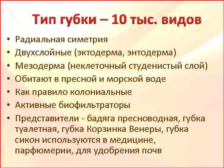 Тип губки – 10 тыс. видов • • Радиальная симетрия Двухслойные (эктодерма, энтодерма) Мезодерма