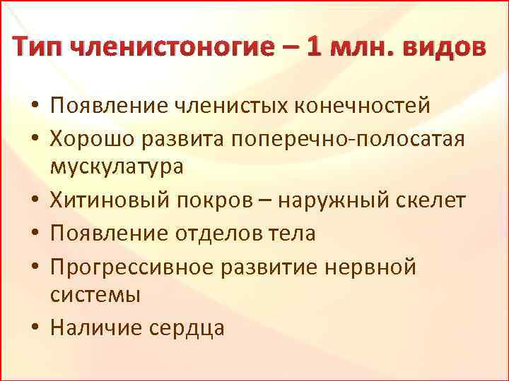 Тип членистоногие – 1 млн. видов • Появление членистых конечностей • Хорошо развита поперечно-полосатая