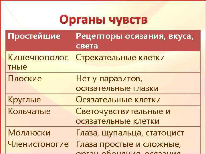 Органы чувств 7 класс