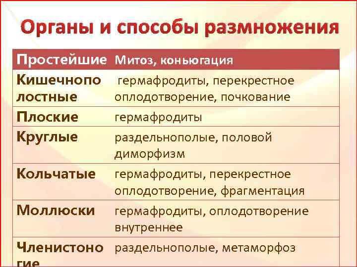 Органы и способы размножения Простейшие Кишечнопо лостные Плоские Круглые Митоз, коньюгация гермафродиты, перекрестное оплодотворение,