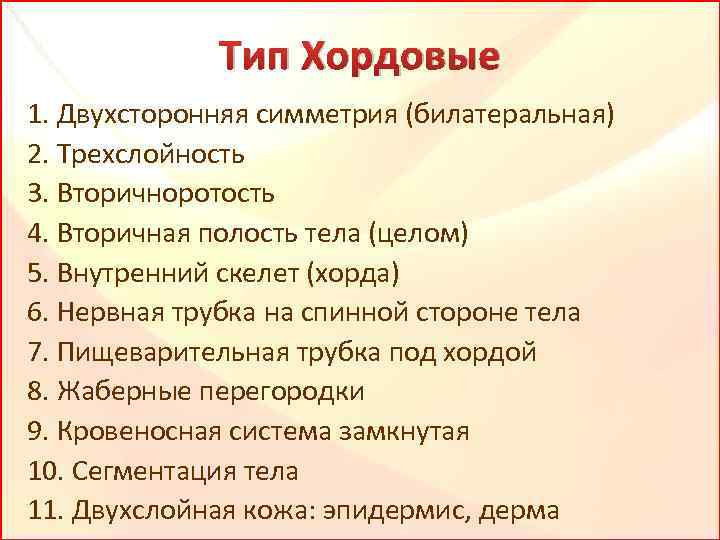 Тип Хордовые 1. Двухсторонняя симметрия (билатеральная) 2. Трехслойность 3. Вторичноротость 4. Вторичная полость тела