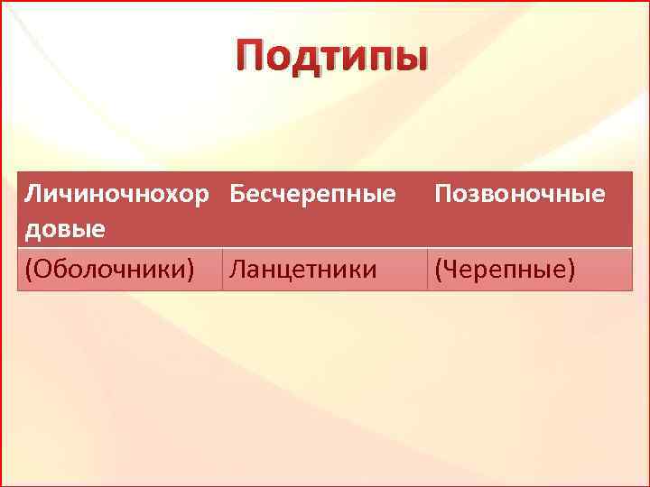 Подтипы Личиночнохор Бесчерепные довые (Оболочники) Ланцетники Позвоночные (Черепные) 