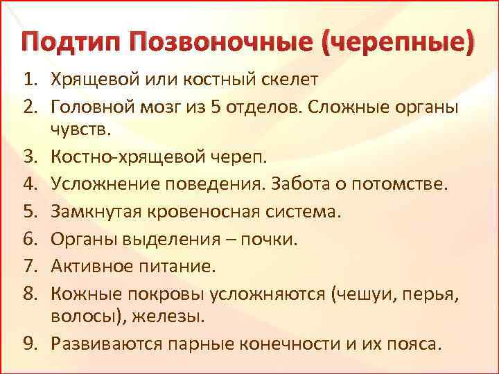 Подтип Позвоночные (черепные) 1. Хрящевой или костный скелет 2. Головной мозг из 5 отделов.