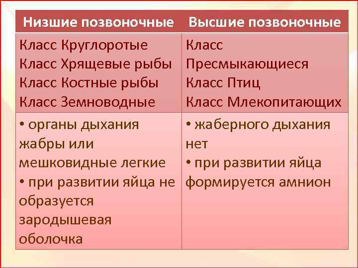 Низшие позвоночные Класс Круглоротые Класс Хрящевые рыбы Класс Костные рыбы Класс Земноводные • органы