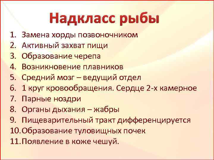 Надкласс рыбы 1. Замена хорды позвоночником 2. Активный захват пищи 3. Образование черепа 4.