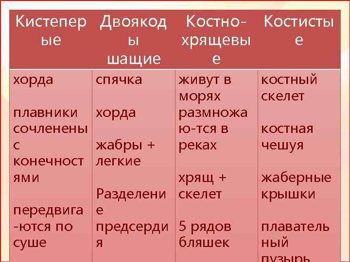 Кистепер Двоякод Костно- Костисты ые ы хрящевы е шащие е хорда спячка плавники хорда