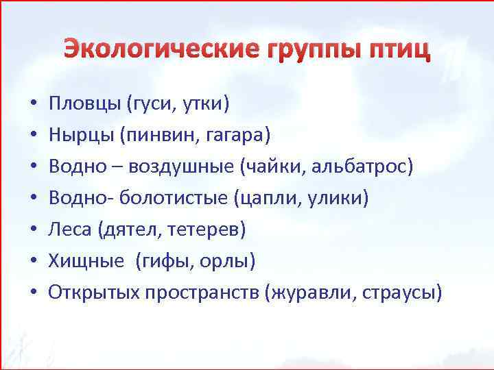 Экологические группы птиц • • Пловцы (гуси, утки) Нырцы (пинвин, гагара) Водно – воздушные