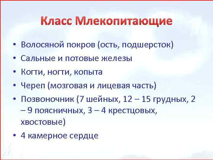 Класс Млекопитающие Волосяной покров (ость, подшерсток) Сальные и потовые железы Когти, ногти, копыта Череп