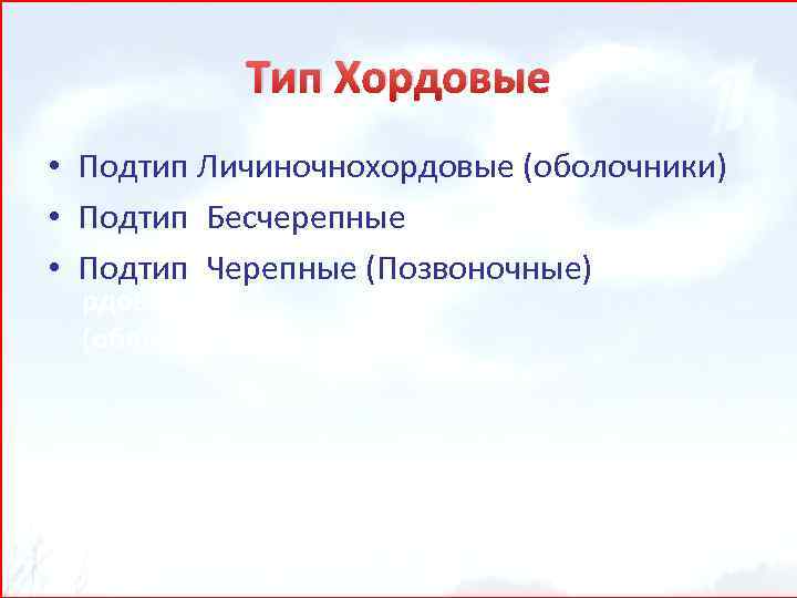 Тип Хордовые • • • Подтип Личиночнохордовые (оболочники) Подтип Бесчерепные Личиночнохо Подтип Черепные (Позвоночные)