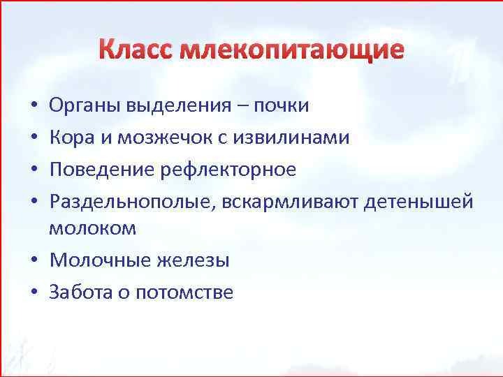 Класс млекопитающие Органы выделения – почки Кора и мозжечок с извилинами Поведение рефлекторное Раздельнополые,