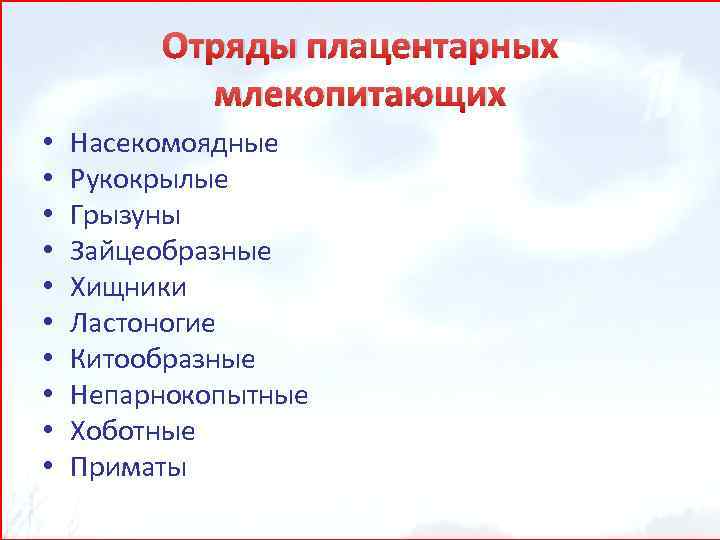 Отряды плацентарных млекопитающих • • • Насекомоядные Рукокрылые Грызуны Зайцеобразные Хищники Ластоногие Китообразные Непарнокопытные