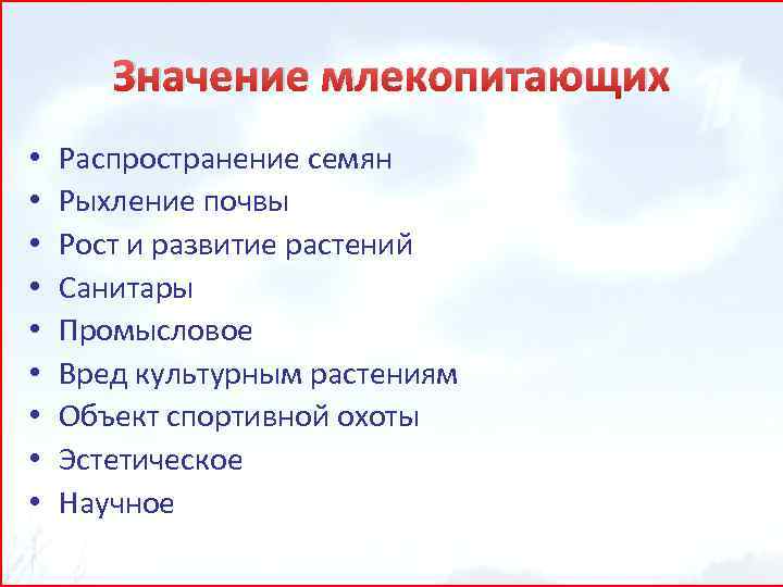 Значение млекопитающих • • • Распространение семян Рыхление почвы Рост и развитие растений Санитары