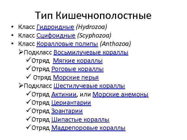 Тип Кишечнополостные • Класс Гидроидные (Hydrozoa) • Класс Сцифоидные (Scyphozoa) • Класс Коралловые полипы