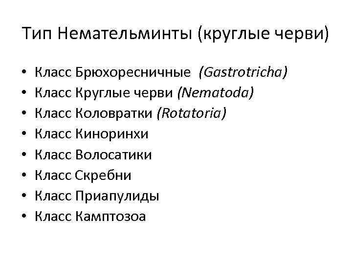 Тип Немательминты (круглые черви) • • Класс Брюхоресничные (Gastrotricha) Класс Круглые черви (Nematoda) Класс