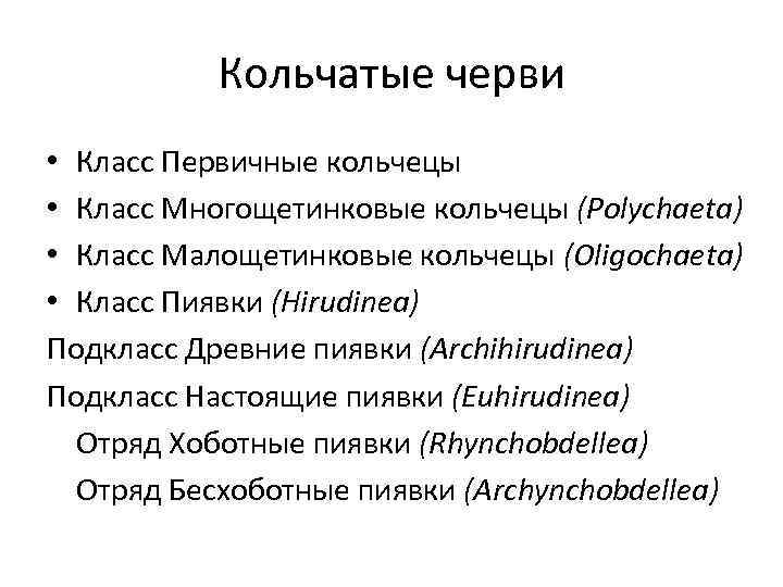 Кольчатые черви • Класс Первичные кольчецы • Класс Многощетинковые кольчецы (Polychaeta) • Класс Малощетинковые