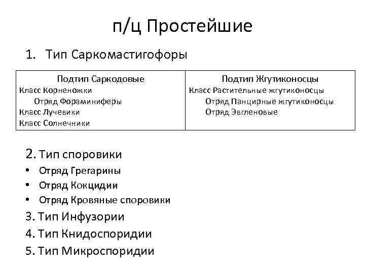 п/ц Простейшие 1. Тип Саркомастигофоры Подтип Саркодовые Класс Корненожки Отряд Фораминиферы Класс Лучевики Класс