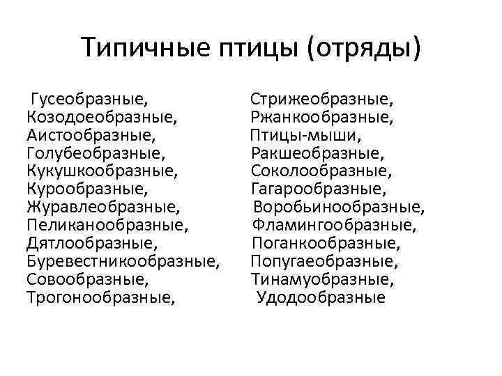 Типичные птицы (отряды) Гусеобразные, Стрижеобразные, Козодоеобразные, Ржанкообразные, Аистообразные, Птицы-мыши, Голубеобразные, Ракшеобразные, Кукушкообразные, Соколообразные, Курообразные,