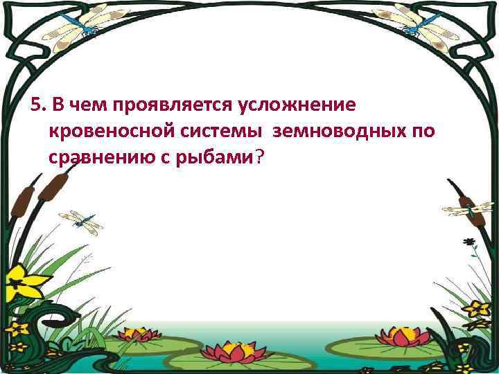 5. В чем проявляется усложнение кровеносной системы земноводных по сравнению с рыбами? 