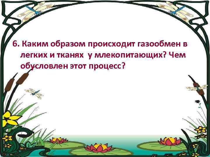 6. Каким образом происходит газообмен в легких и тканях у млекопитающих? Чем обусловлен этот