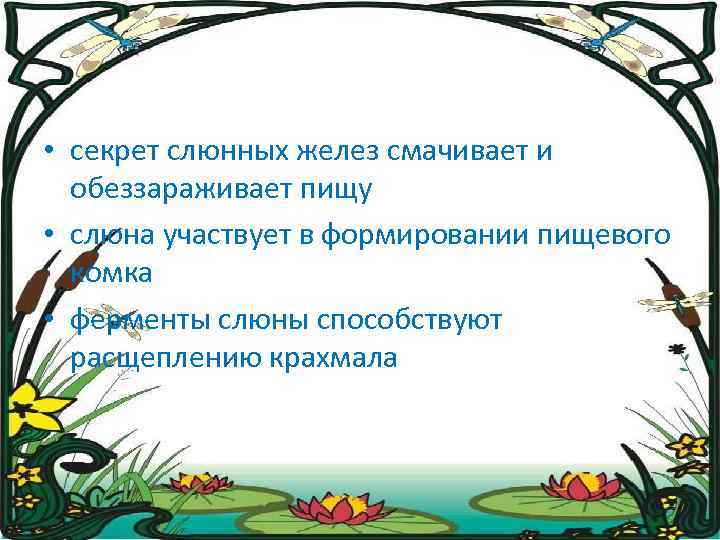  • секрет слюнных желез смачивает и обеззараживает пищу • слюна участвует в формировании