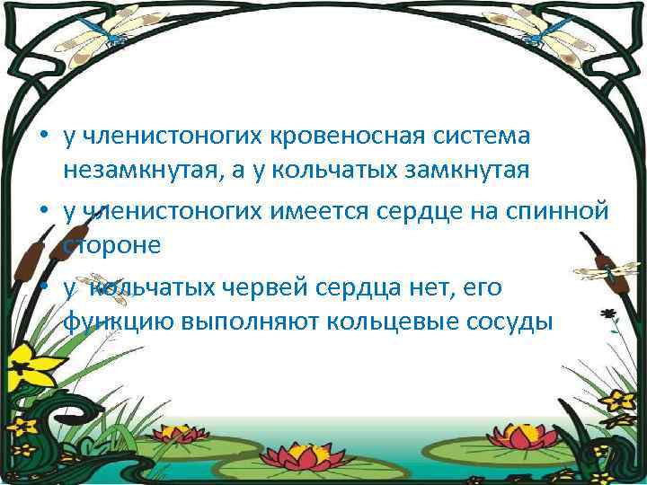  • у членистоногих кровеносная система незамкнутая, а у кольчатых замкнутая • у членистоногих