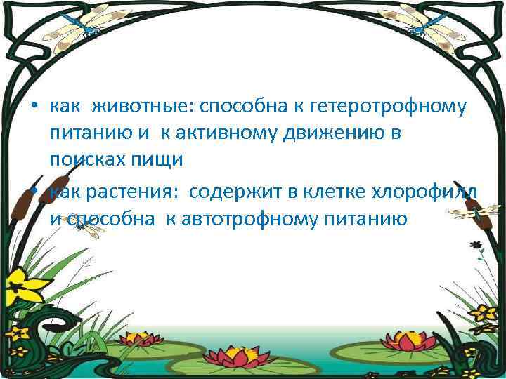  • как животные: способна к гетеротрофному питанию и к активному движению в поисках