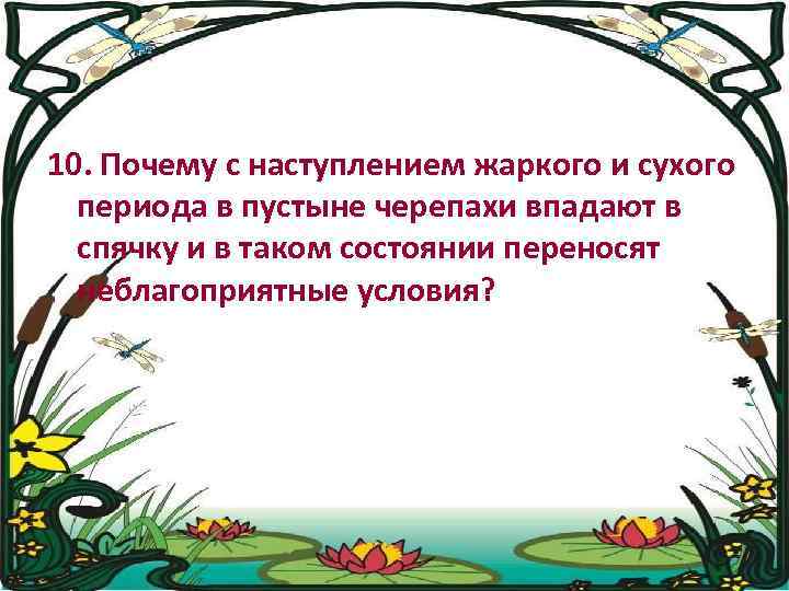 10. Почему с наступлением жаркого и сухого периода в пустыне черепахи впадают в спячку