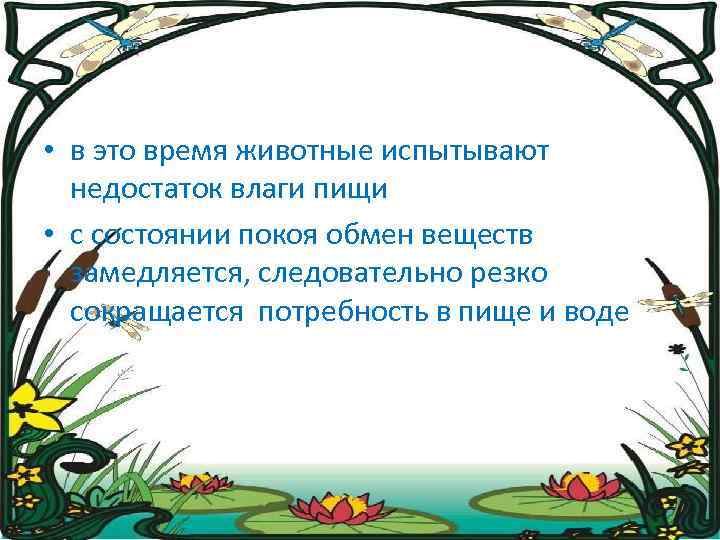  • в это время животные испытывают недостаток влаги пищи • с состоянии покоя